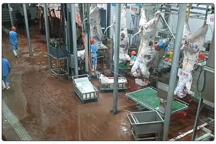 屠宰工廠惡臭影響周邊，使用除臭劑有什么注意要點(diǎn)？