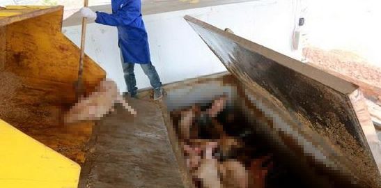 潔匠凈化·的凈工業(yè)除臭劑_動(dòng)物無害化處理廠，惡臭異味危害大，工業(yè)除臭劑起作用！