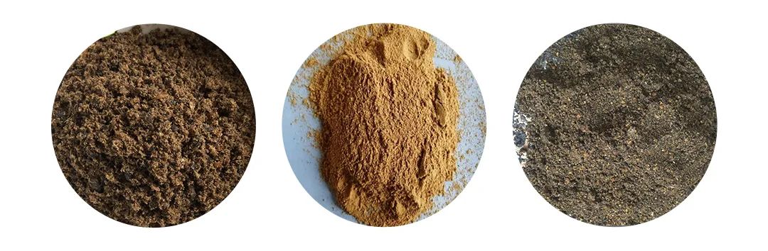 羽毛粉加工腥味、苦味、惡臭味混雜，看<a href='/' style='color: blue;' target='_blank'>工業(yè)除臭劑</a>如何快速除臭！.jpg