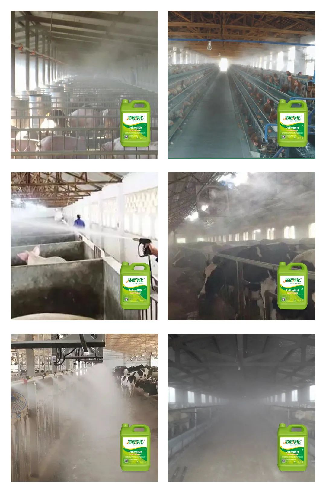 養(yǎng)殖場太臭，用Dejing的凈除臭劑迅速除臭！豬圈/雞場/牛場/羊圈....jpg