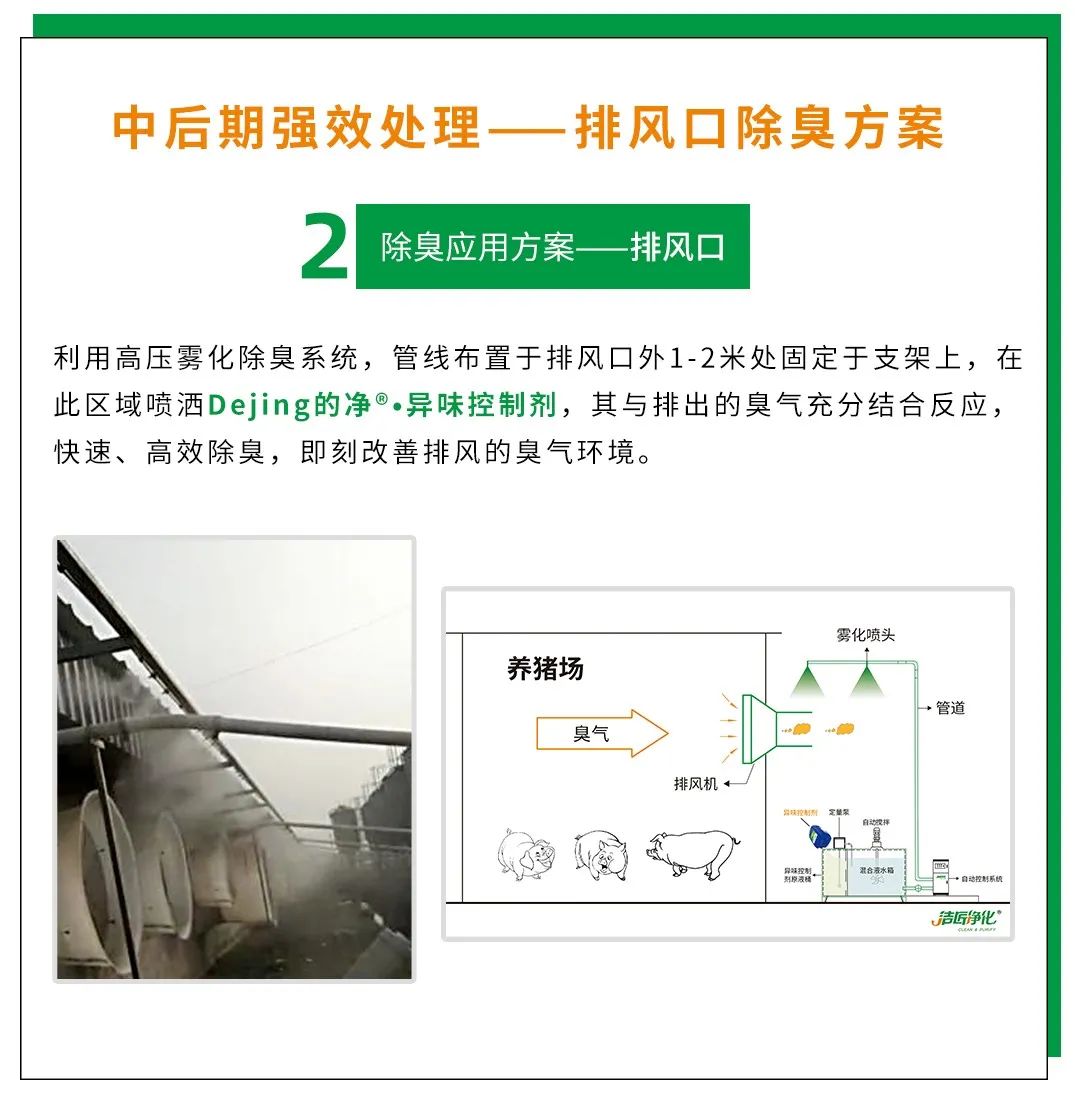 Dejing的凈養(yǎng)殖場除臭劑如何迅速清理養(yǎng)殖場臭味？.jpg