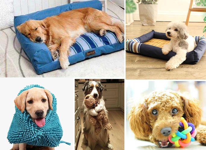 潔匠凈化·的凈工業(yè)除臭劑_寵物氣味彌漫整個(gè)屋子，潔匠凈化教您如何除味