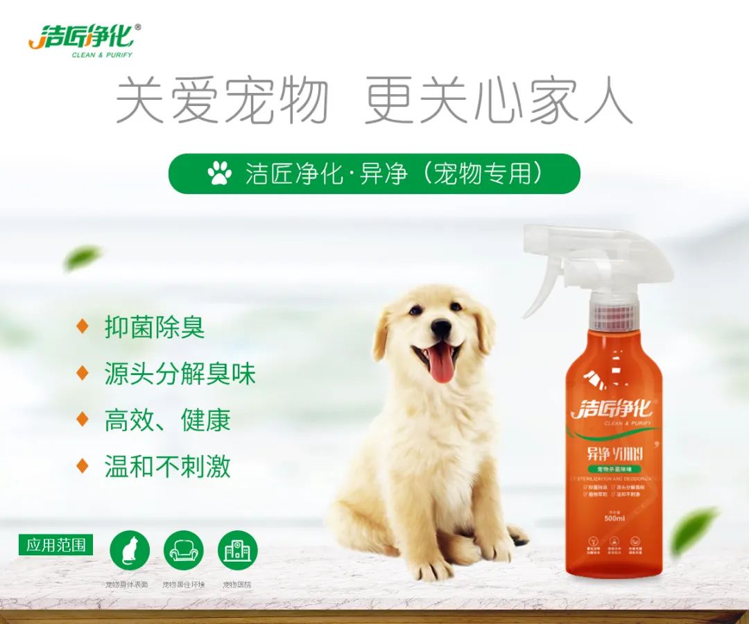 寵物氣味彌漫整個(gè)屋子，潔匠凈化教您如何除味