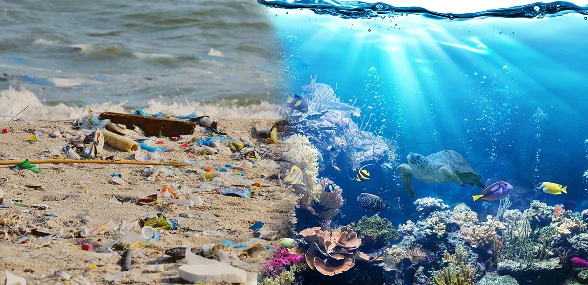 f4efbc0cddae2d4d8e425f343b6a4ae7.jpg f4efbc0cddae2d4d8e425f343b6a4ae7.jpg